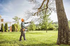 Best Emergency Tree Removal  in Bonadelle Ranchos, CA