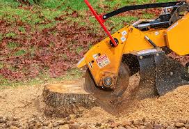 Best Lawn Pest Prevention  in Bonadelle Ranchos, CA