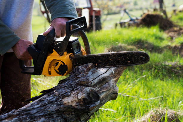 Best Lawn Irrigation Installation and Maintenance  in Bonadelle Ranchos, CA